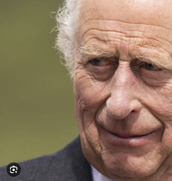 King Charles received millions of euros in cash from Qatari sources.