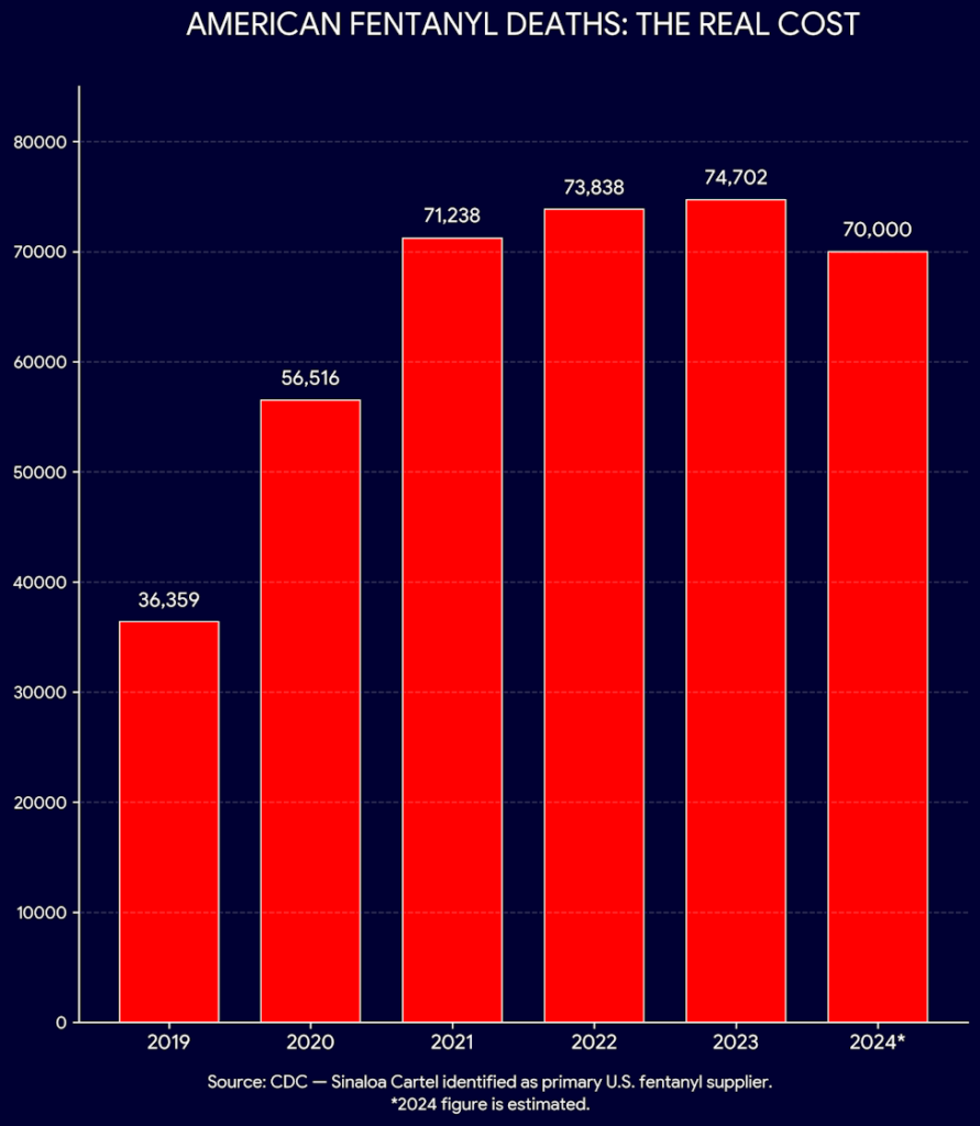 American Fentanyl Deaths: The Real Cost